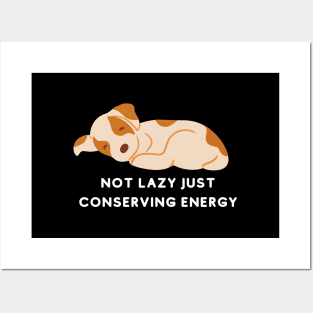 Not Lazy Just Conserving Energy Posters and Art